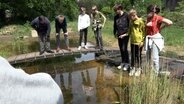 Im Garten der Hamburger Irena-Sendler-Schule haben Ehrenamtliche und Eltern einen Teich angelegt, an dem sich Frösche, Molche und Libellen beobachten lassen. © NDR/doclights 