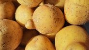 Jede zweite deutsche Kartoffel kommt aus Niedersachsen. Mehr als 100.000 Hektar Kartoffelfelder gibt es hier - so viel wie in keinem anderen Bundesland. © NDR/video:arthouse/Christina Georgi 
