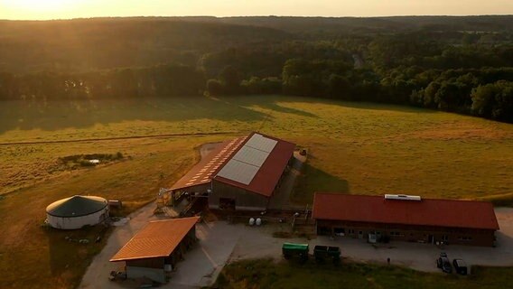 Auf dem Bauckhof in Amelinghausen wird seit 1995 Käse hergestellt. Mittlerweile ist ihr Käsesortiment auf 22 Sorten angewachsen. Auf dem Bauckhof in Amelinghausen wird seit 1995 Käse hergestellt. Mittlerweile ist ihr Käsesortiment auf 22 Sorten angewachsen. © NDR/AZ MEDIA TV GmbH