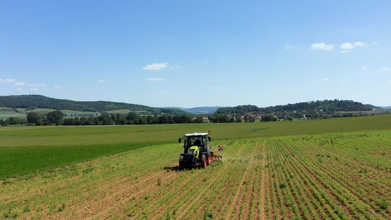 Als ökologische Landwirtin betreibt Marie-Sophie von Schnehen mechanischen Pflanzenschutz – Spritzen ist hier nicht erlaubt. Als ökologische Landwirtin betreibt Marie-Sophie von Schnehen mechanischen Pflanzenschutz – Spritzen ist hier nicht erlaubt. © NDR/AZ MEDIA TV GmbH