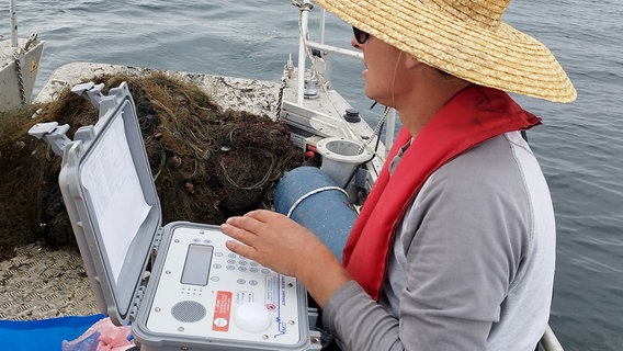 Uwe Krumme vom Rostocker Thünen-Institut für Ostseefischerei untersucht den Sauerstoffgehalt in der Ostsee vor Boltenhagen. Uwe Krumme vom Rostocker Thünen-Institut für Ostseefischerei untersucht den Sauerstoffgehalt in der Ostsee vor Boltenhagen. © NDR/Jana Schulze