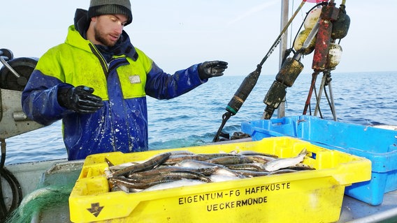 Einer der letzten Fischer in MV: Sebastian Juhlke © NDR/Jana Schulze 