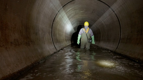 Im Nebensammler Bergedorf: Der Kanal ist lediglich 2,60 Meter breit. © NDR 