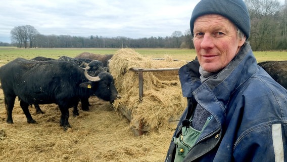 Die Wasserbüffel von Tino Bullmann sind hart im Nehmen. Sie stehen auch im Winter auf der Weide. Selbst Minustemperaturen stören die bis zu 600-Kilo schweren Kolosse nicht. © NDR/Stefan Radüg 