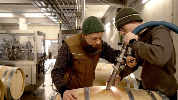 Die nächste Generation Winzer bei der Arbeit. In Rattey wird der Wein in großen Tanks gelagert, aber auch in herkömmlichen Weinfässern aus Holz. Die nächste Generation Winzer bei der Arbeit. In Rattey wird der Wein in großen Tanks gelagert, aber auch in herkömmlichen Weinfässern aus Holz. © NDR/Video-Magic