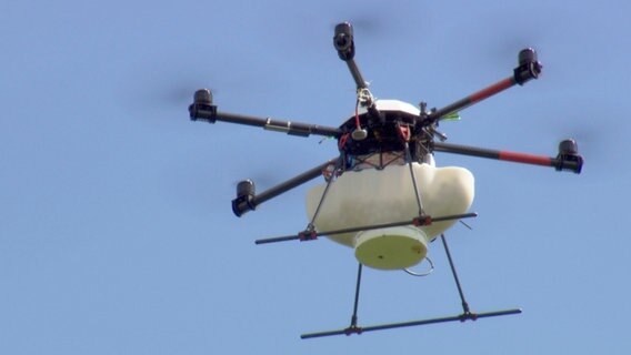 Die Drohne ist mit Kügelchen voller Schlupfwespen beladen. © NDR/Cineteam Hannover 