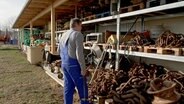 Hier lagert Roberto seine Schätze die Paul aus der Ostsee birgt. © NDR/Hanse TV 