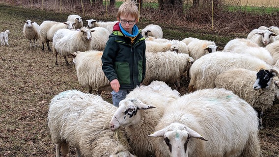 Seit seinem 4. Geburtstag züchtet Joschua Langen selber Schafe und gehört zu den erfolgreichsten Jungzüchtern in Deutschland. © NDR/mmtv 