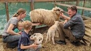 Petra, Jonathan, Joschua und Jörg Langen. Die Familie züchtet, wie hier im Bild, Bentheimer Landschafe und die robusten britischen Swaledales. © NDR/mmtv 