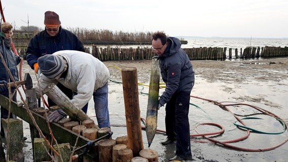 Reparaturarbeiten an der Uferbefestigung am Dümmer. © NDR/AZ Media/Christian Leunig 