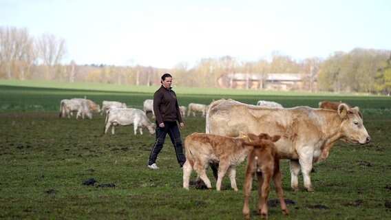 Dörte Wolfgramm-Stühmeyer hat 115 Rinder, die das ganze Jahr auf der Weide bleiben. © NDR/AP underDOK 