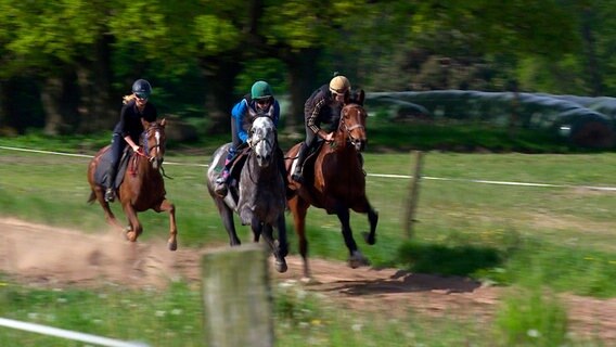 Studentin Pauline trainiert seit Kurzem die Galopper auf dem Gestüt Schleusner in Mecklenburg. In den Pferderennen sitzen dann professionelle Jockeys auf dem Rücken der Rennpferde. © NDR/Populärfilm 