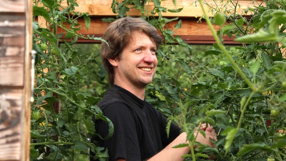 Hobbygärtner Jan Matthießen hegt und pflegt seine Tomatenpflanzen, die er aus sortenreinem Saatgut selbst aufzieht. © NDR/Produktion Clipart 