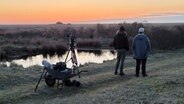 Morgenstimmung auf Memmert. Die weitläufige Insel südwestlich von Juist ist die größte und älteste Vogelinsel im Nationalpark Niedersächsisches Wattenmeer. © NDR/video:arthouse/Reinhard Bettauer 