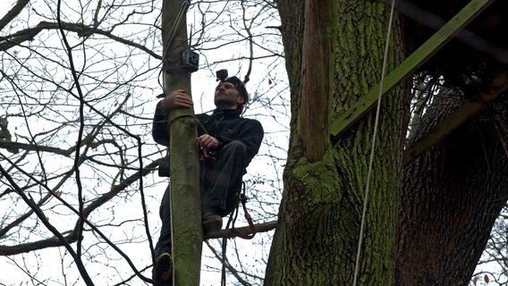Um die Kameras zu installieren, klettert Artenschützer Joachim Neumann nicht selten 40 Meter in die Höhe. © NDR/Zentralfilm/Marc Henze 