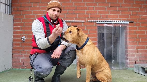 Jonas Heigel ist Tierpfleger und kümmert sich vor allem um die Hunde. © NDR/video:arthouse/Reinhard Bettauer 