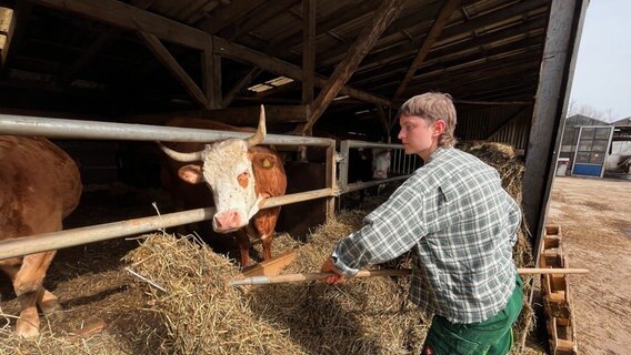 Alina Sannmann ist auch für die Rinderherde verantwortlich und mistet den Stall aus. Die Tiere kommen bald auf die Weide. Zweimal im Jahr wird das Fleisch ab Hof verkauft. Haupteinnahmequelle sind aber der Verkauf von Gemüse, Kräutern und Salaten. © NDR/Stefan Weiße 