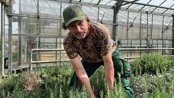 Markus Walkusch-Eylandt ist Betriebsleiter und kontrolliert in den Gewächshäusern und auf den Feldern die Ernte von Gemüse, Kräutern und Salaten. © NDR/Stefan Weiße 