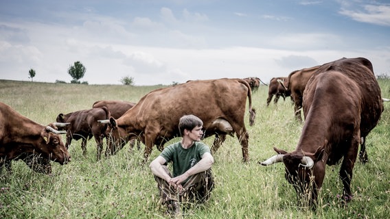 Mehr als 200 Rinder leben auf Daniel Wehmeyers Biohof Düna. © NDR/Dietrich Kühne 