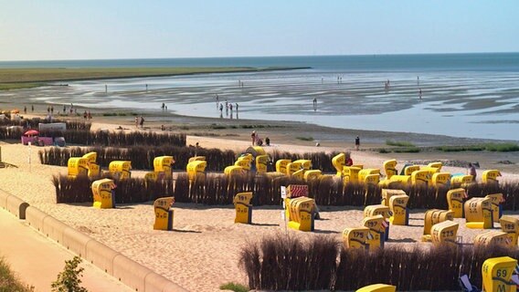 Ein Strand am Wattenmeer, auf dem viele gelbe Strandkörbe stehen. © NDR/nonfictionplanet/Julian Ringer, honorarfrei Foto: Julian Ringer