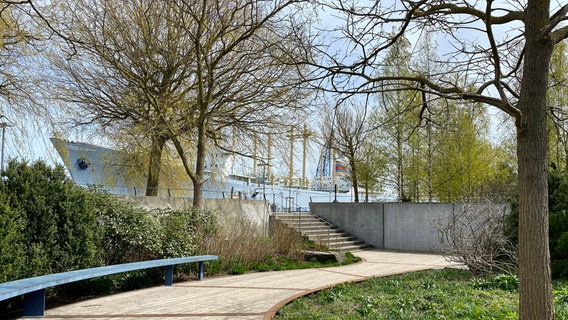 Die Pflege des 60 Hektar großen Parks kostet die Stadt Rostock jährlich zwei Millionen Euro. © NDR/David Pilgrim 
