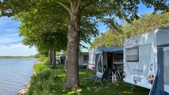Natur pur in Alt Schwerin beim "Camping am See" - jeder der knapp 200 Stellplätze hat Seeblick zu bieten. © NDR/René Stahl 