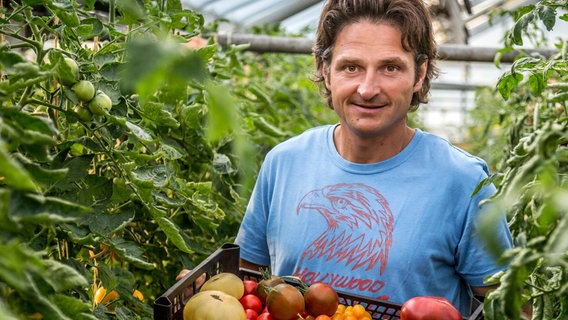 Frank Wonglorz und seine historischen Tomaten. © NDR 