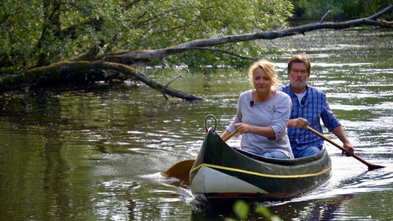 Die Alte Süderelbe wird an einigen Stellen zum Dschungel. Holger und Patrizia Maciolek von der Interessengemeinschaft Alte Süderelbe kennen sich hier aus. © NDR/Veit Bentlage 