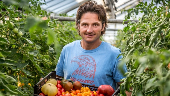 Frank Wonglorz und seine historischen Tomaten. © NDR 