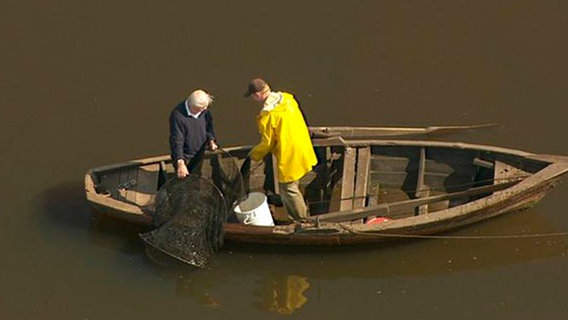 Zwei Männer stehen in einem Boot und kontrollieren Aalreusen. © NDR 