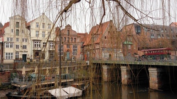 Traumhafte Kulisse: Nicht nur Fans der Roten Rosen verzaubert die alte Salzstadt Lüneburg. Kutscher Andreas Gensch veranstaltet regelmäßig Kutschfahrten auf den Spuren der beliebten Telenovela. © NDR/MfG-Film 