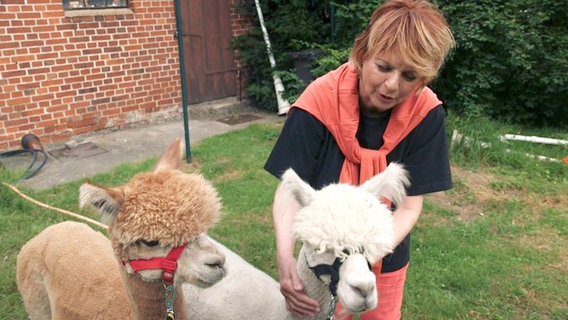 Alida Gundlach begrüßt auf ihrem Tierhof zwei Gäste: Benny und Nestor werden für die Therapie von verhaltensauffälligen Kindern gebraucht. Alida Gundlach begrüßt auf ihrem Tierhof zwei Gäste: Benny und Nestor werden für die Therapie von verhaltensauffälligen Kindern gebraucht. © NDR/Silke König