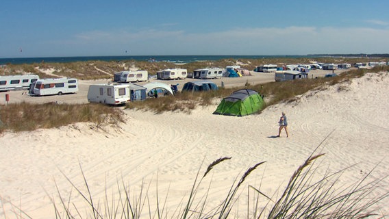 Der Campingplatz direkt in den Dünen des Ostseebades Prerow, auf der Halbinsel Fischland-Darß-Zingst. © NDR 