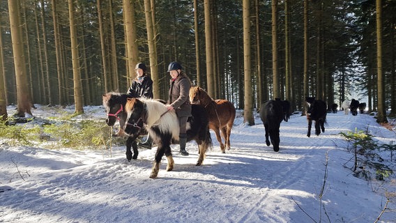 Katharina Kohlrusch und ihre Ponys im Oberharzer Wald. © NDR/AZ Media/Christian Leunig 