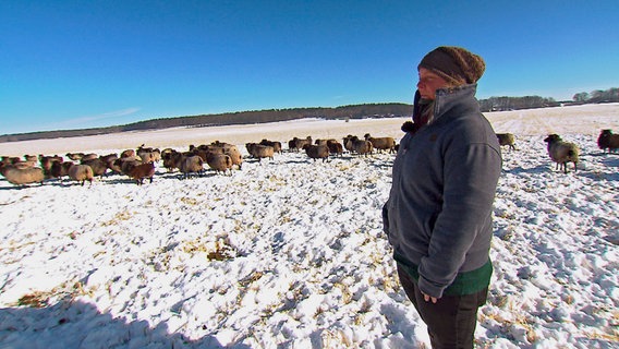 Heideschäferin Verena Jahnke hat rund 1.700 Schafe und Heidschnucken, die auch im Winter zum Fressen quer durch die Heide geführt werden müssen. © NDR/AZ Media/Sandra Schneider 