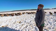 Heideschäferin Verena Jahnke hat rund 1.700 Schafe und Heidschnucken, die auch im Winter zum Fressen quer durch die Heide geführt werden müssen. © NDR/AZ Media/Sandra Schneider 
