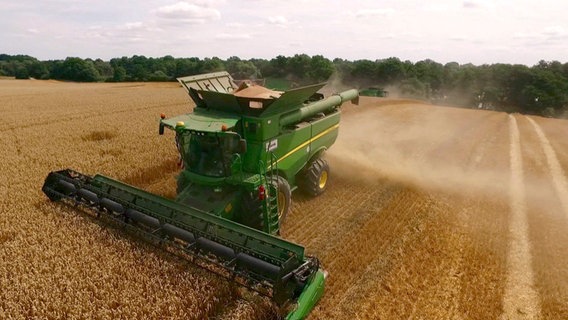 Immer größer, immer breiter: Getreide-Ernte in Mecklenburg-Vorpommern. Riesige Flächen werden mit komplexer Technik bearbeitet. © NDR 