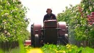 Ulrike Schuback aus Jork ist eine von gerade mal sechs Apfelbäuerinnen im Alten Land. Immer wieder müssen sich die Obstbauern der weltweiten Konkurrenz stellen. © NDR 