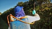 Ein Arbeiter besprüht in einer Kaffeeplantage in Brasilien die Pflanzen mit Pflanzenschutzmittel. © NDR Foto: Michael Höft