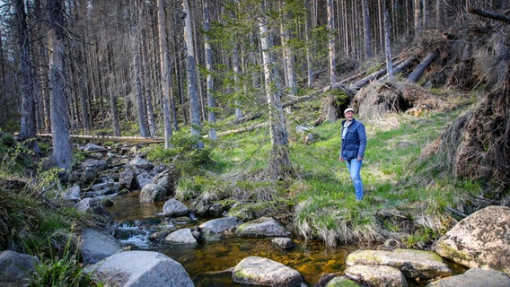 Philipp Abresch steht im Wald vor einem Bachlauf. Um ihn herum vertrocknete Fichten. © NDR/PIXELGALAXIE 