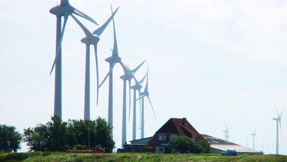 Nordfriesischer Gasthof mit gigantischen Nachbarn. © © NDR/PIER 53 Filmproduktion/Carsten Rau 