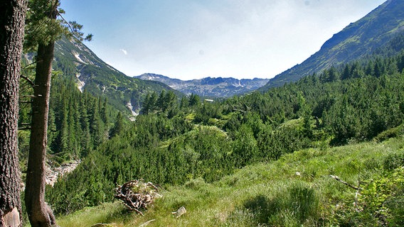 Bergpanorama in Bulgarien © Ernst Sasse/NDR Naturfilm 