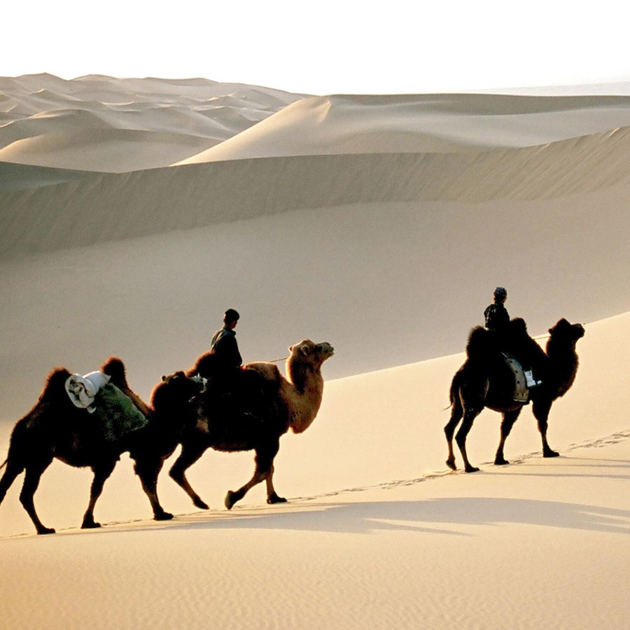 Nomaden reiten auf Kamelen durch die Wüste Gobi. © © NDR/ORF/Interspot Film/Heinz Leger 