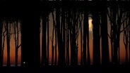 Abenddämmerung im Wald © Nautilusfilm 