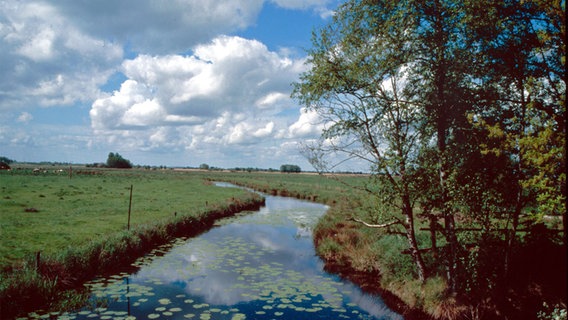 Flusslauf in Ostfriesland  