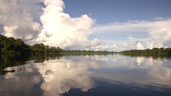 Der Amazonas ist der wasserreichste Fluss der Erde. © NDR/doclights/Cosmos Factory 