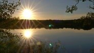 Die Feldberger Seen zählen zu den Geheimtipps in Mecklenburg-Vorpommern. © NDR/Doclights GmbH/Corax 