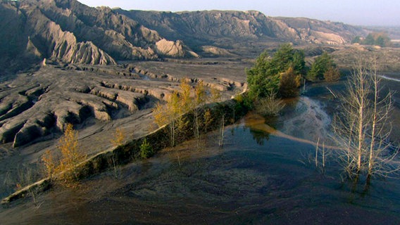 Wenn der Tagebau geht, beginnt die Natur das Land zurück zu erobern – auch in der Lausitz. © NDR/Altayfilm 
