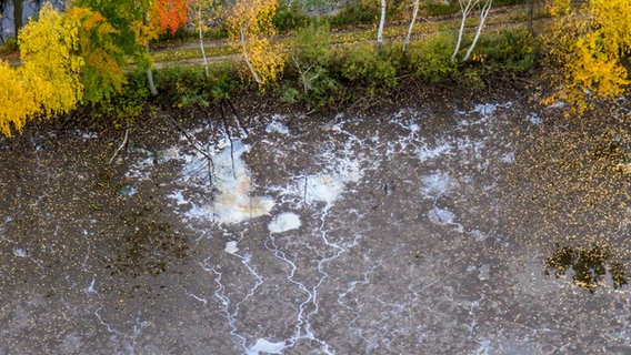 Kein Ölteppich, sondern Lebewesen: Schillernde Bakterienteppiche bilden sich, wo jahrzehntelanger Tagebau Mineralien und Salze aus dem Boden gewaschen hat. © NDR/Altayfilm 