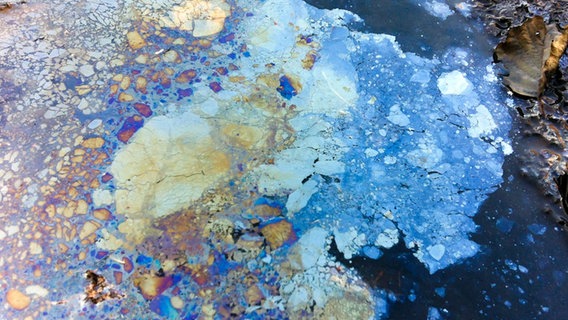 Kein Ölteppich, sondern Lebewesen: Schillernde Bakterienteppiche bilden sich, wo jahrzehntelanger Tagebau Mineralien und Salze aus dem Boden gewaschen hat. © NDR/Altayfilm 